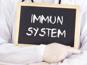 Immunsystem